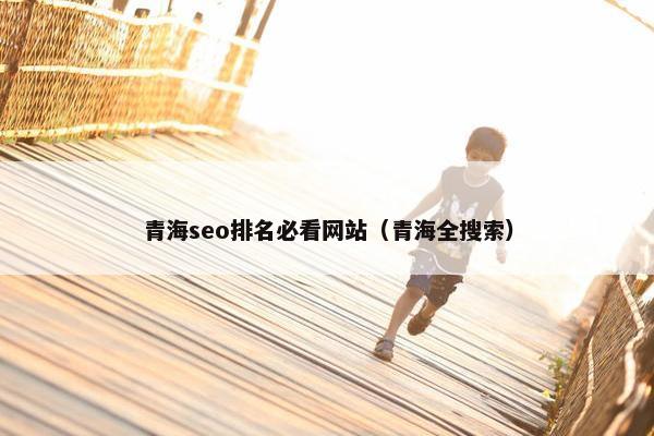 青海seo排名必看网站（青海全搜索）-第1张图片-冷动云