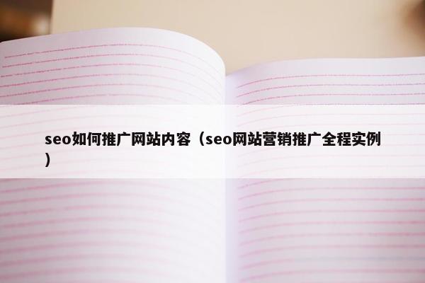 seo如何推广网站内容（seo网站营销推广全程实例）-第1张图片-冷动云