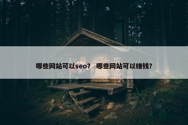 哪些网站可以seo？ 哪些网站可以赚钱？-第1张图片-冷动云