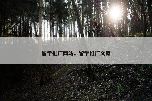 留学推广网站，留学推广文案-第1张图片-冷动云