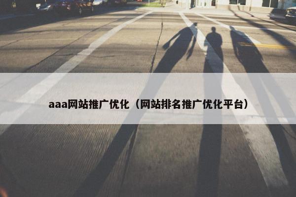 aaa网站推广优化（网站排名推广优化平台）-第1张图片-冷动云
