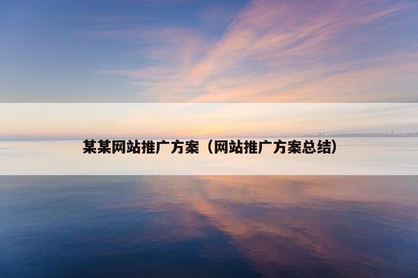 某某网站推广方案（网站推广方案总结）-第1张图片-冷动云