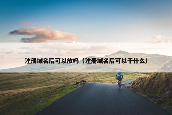 注册域名后可以放吗（注册域名后可以干什么）-第1张图片-冷动云