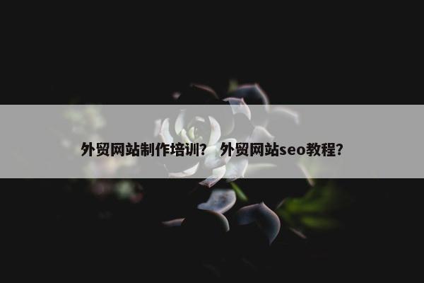外贸网站制作培训？ 外贸网站seo教程？-第1张图片-冷动云