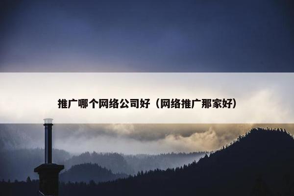 推广哪个网络公司好（网络推广那家好）-第1张图片-冷动云