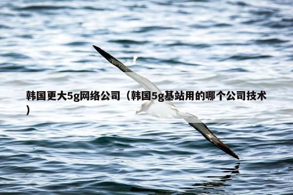 韩国更大5g网络公司（韩国5g基站用的哪个公司技术）-第1张图片-冷动云