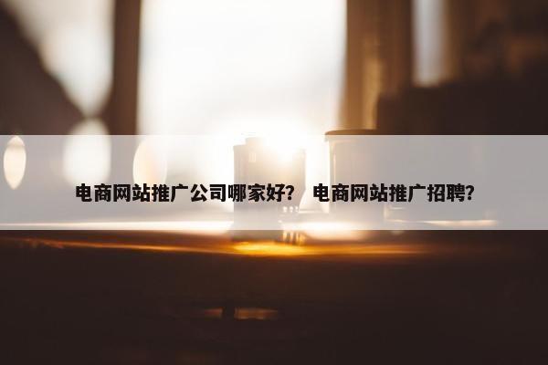 电商网站推广公司哪家好？ 电商网站推广招聘？-第1张图片-冷动云