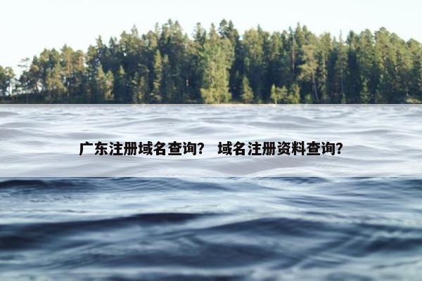 广东注册域名查询？ 域名注册资料查询？-第1张图片-冷动云