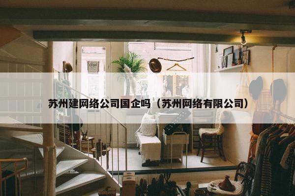 苏州建网络公司国企吗（苏州网络有限公司）-第1张图片-冷动云