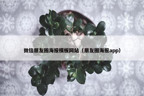 微信朋友圈海报模板网站（朋友圈海报app）-第1张图片-冷动云