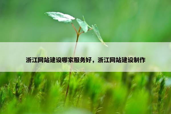浙江网站建设哪家服务好，浙江网站建设制作-第1张图片-冷动云