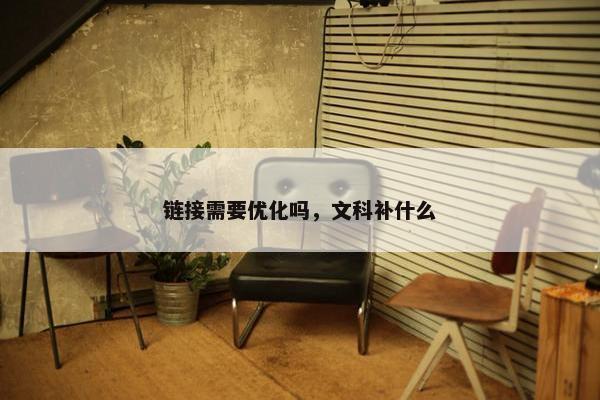 链接需要优化吗，文科补什么-第1张图片-冷动云