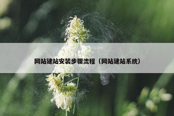 网站建站安装步骤流程（网站建站系统）-第1张图片-冷动云