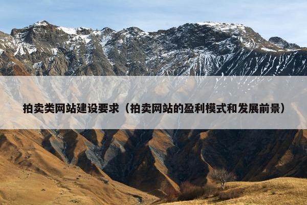 拍卖类网站建设要求（拍卖网站的盈利模式和发展前景）-第1张图片-冷动云