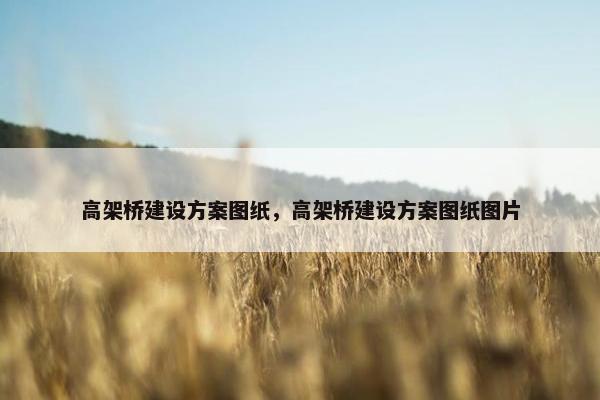 高架桥建设方案图纸，高架桥建设方案图纸图片-第1张图片-冷动云