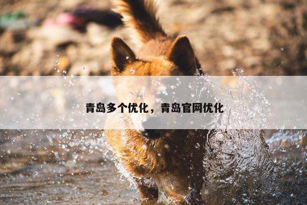 青岛多个优化，青岛官网优化-第1张图片-冷动云