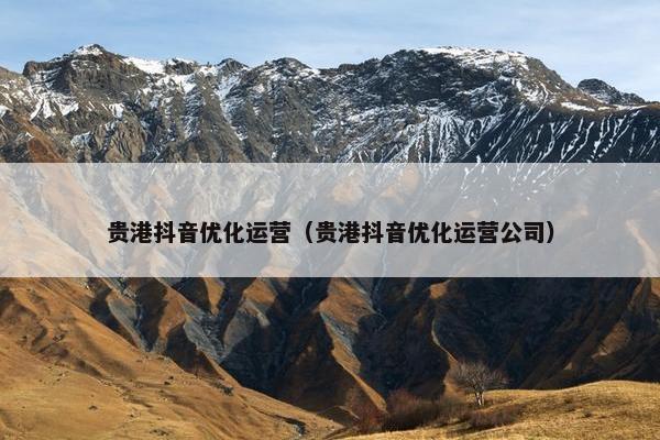 贵港抖音优化运营（贵港抖音优化运营公司）-第1张图片-冷动云