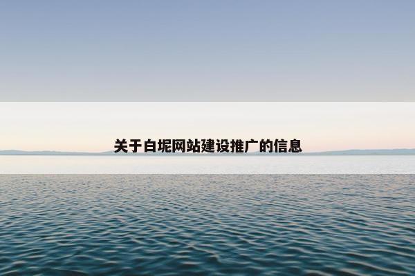 关于白坭网站建设推广的信息-第1张图片-冷动云