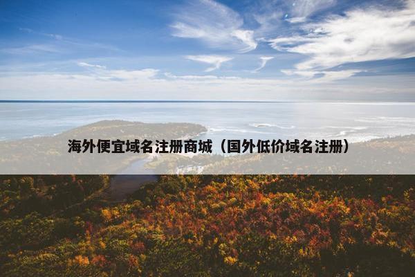 海外便宜域名注册商城（国外低价域名注册）-第1张图片-冷动云