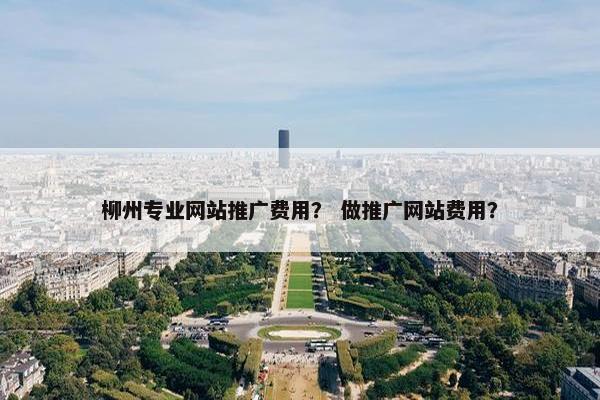 柳州专业网站推广费用？ 做推广网站费用？-第1张图片-冷动云