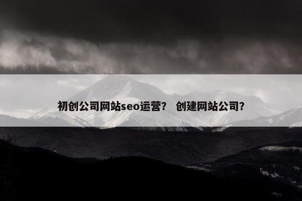 初创公司网站seo运营？ 创建网站公司？-第1张图片-冷动云
