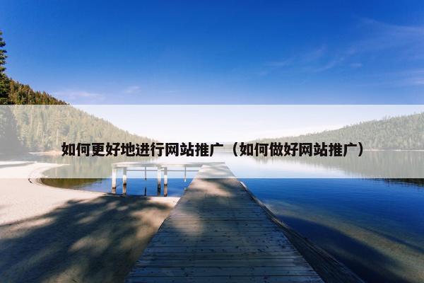 如何更好地进行网站推广（如何做好网站推广）-第1张图片-冷动云