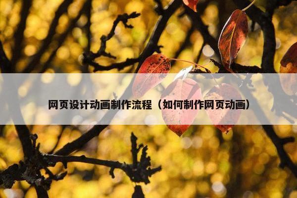 网页设计动画制作流程（如何制作网页动画）-第1张图片-冷动云