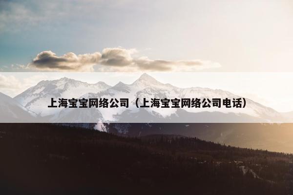 上海宝宝网络公司（上海宝宝网络公司电话）-第1张图片-冷动云