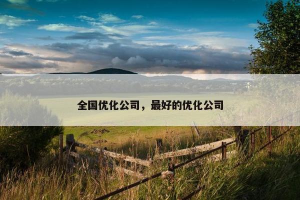 全国优化公司，最好的优化公司-第1张图片-冷动云