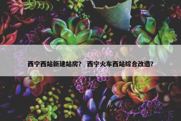 西宁西站新建站房？ 西宁火车西站综合改造？-第1张图片-冷动云