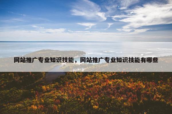 网站推广专业知识技能，网站推广专业知识技能有哪些-第1张图片-冷动云