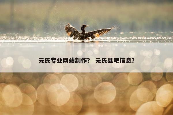 元氏专业网站制作？ 元氏县吧信息？-第1张图片-冷动云