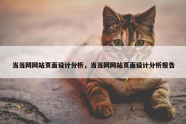 当当网网站页面设计分析，当当网网站页面设计分析报告-第1张图片-冷动云
