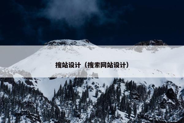 搜站设计（搜索网站设计）-第1张图片-冷动云