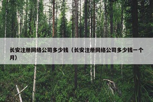 长安注册网络公司多少钱（长安注册网络公司多少钱一个月）-第1张图片-冷动云