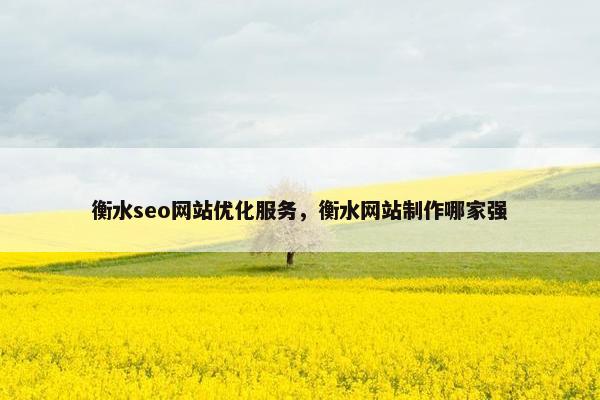 衡水seo网站优化服务，衡水网站制作哪家强-第1张图片-冷动云