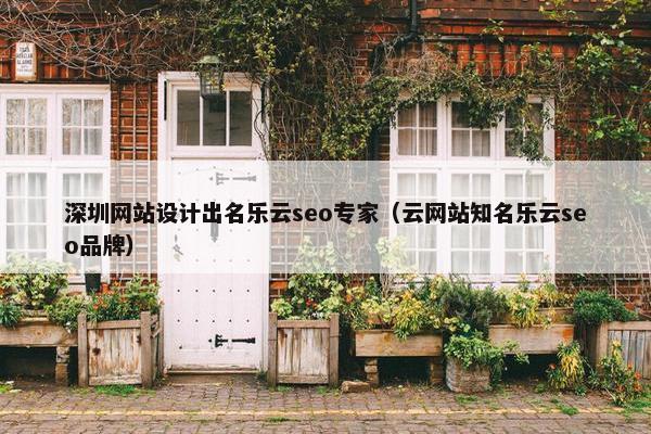 深圳网站设计出名乐云seo专家（云网站知名乐云seo品牌）-第1张图片-冷动云
