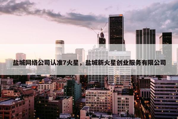 盐城网络公司认准7火星，盐城新火星创业服务有限公司-第1张图片-冷动云