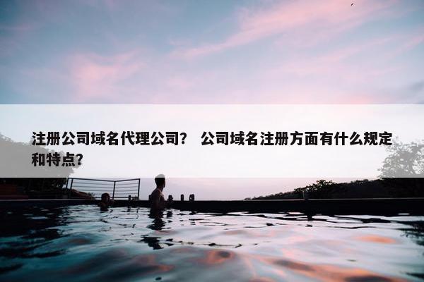 注册公司域名代理公司？ 公司域名注册方面有什么规定和特点？-第1张图片-冷动云