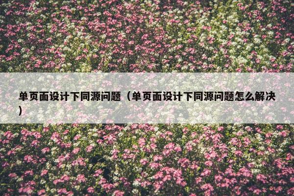 单页面设计下同源问题（单页面设计下同源问题怎么解决）-第1张图片-冷动云
