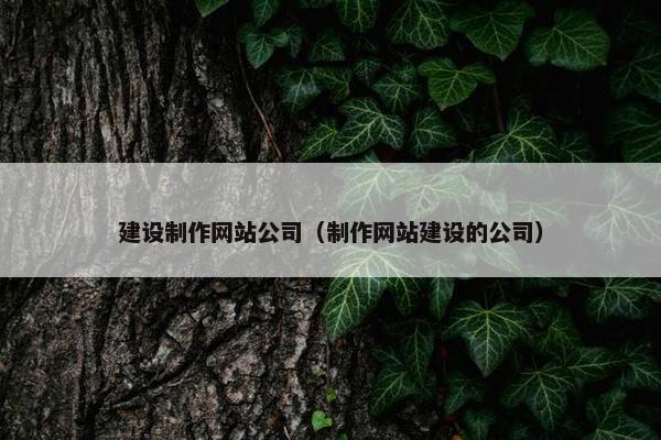 建设制作网站公司（制作网站建设的公司）-第1张图片-冷动云
