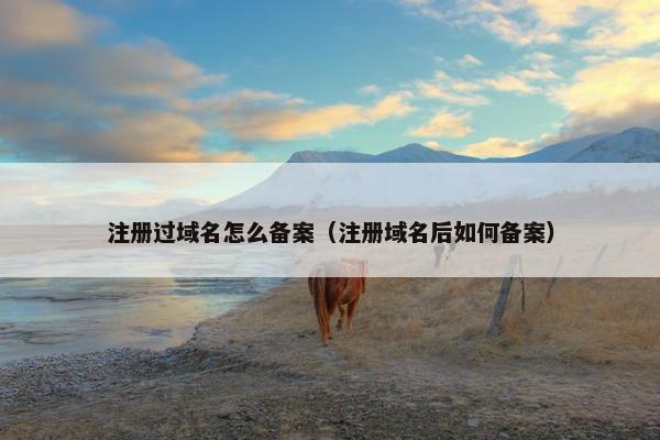 注册过域名怎么备案（注册域名后如何备案）-第1张图片-冷动云