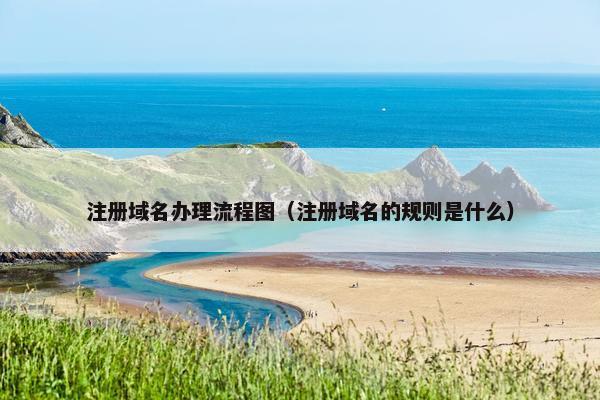 注册域名办理流程图（注册域名的规则是什么）-第1张图片-冷动云