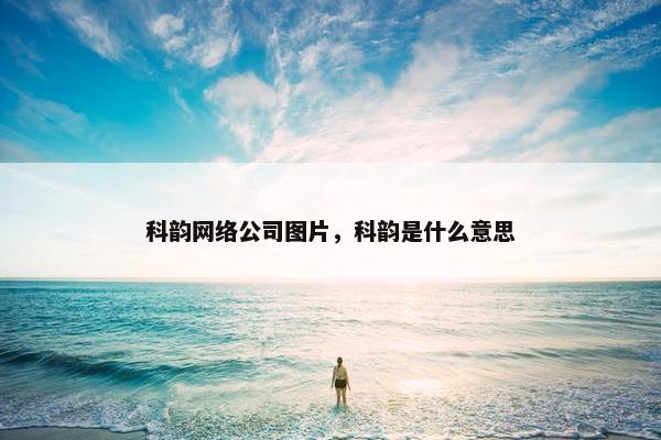 科韵网络公司图片，科韵是什么意思-第1张图片-冷动云
