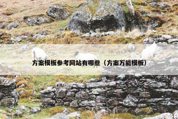 方案模板参考网站有哪些（方案万能模板）-第1张图片-冷动云