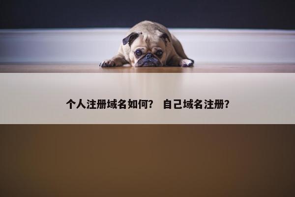 个人注册域名如何？ 自己域名注册？-第1张图片-冷动云
