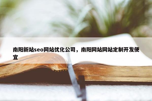 南阳新站seo网站优化公司，南阳网站网站定制开发便宜-第1张图片-冷动云