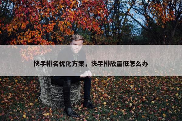 快手排名优化方案，快手排放量低怎么办-第1张图片-冷动云