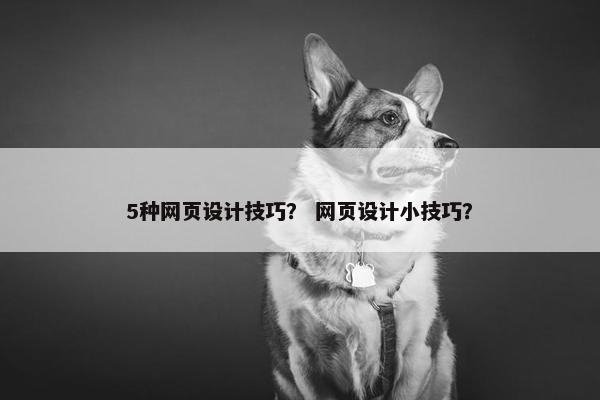 5种网页设计技巧？ 网页设计小技巧？-第1张图片-冷动云