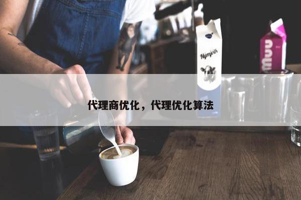 代理商优化，代理优化算法-第1张图片-冷动云